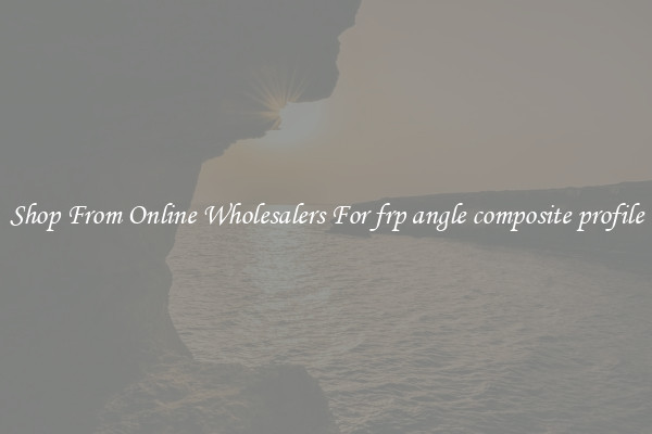 Shop From Online Wholesalers For frp angle composite profile
