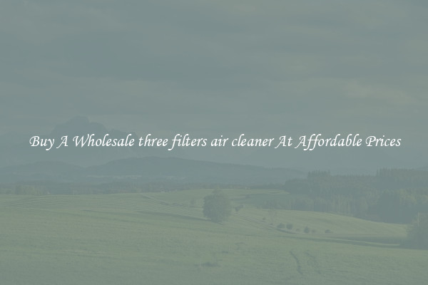 Buy A Wholesale three filters air cleaner At Affordable Prices