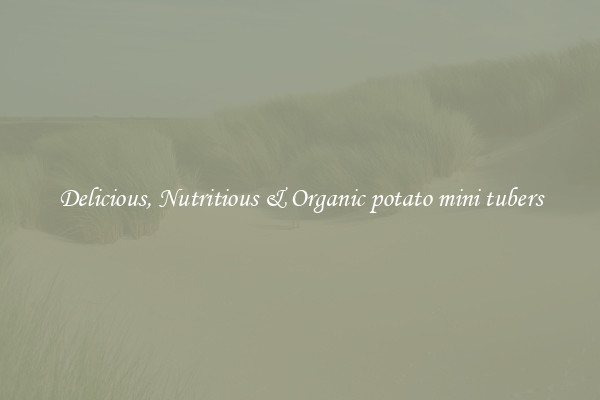 Delicious, Nutritious & Organic potato mini tubers