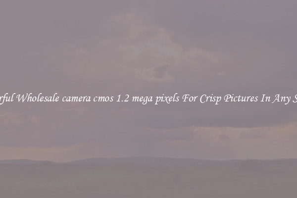 Powerful Wholesale camera cmos 1.2 mega pixels For Crisp Pictures In Any Setting