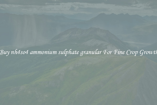 Buy nh4so4 ammonium sulphate granular For Fine Crop Growth