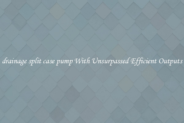drainage split case pump With Unsurpassed Efficient Outputs