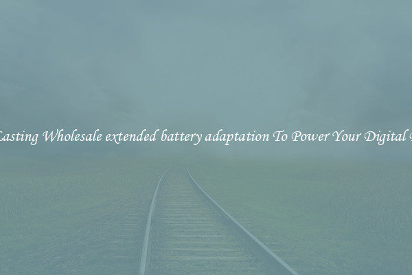 Long Lasting Wholesale extended battery adaptation To Power Your Digital Devices