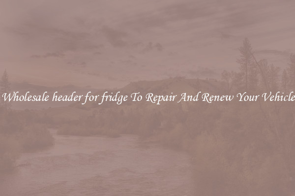 Wholesale header for fridge To Repair And Renew Your Vehicle