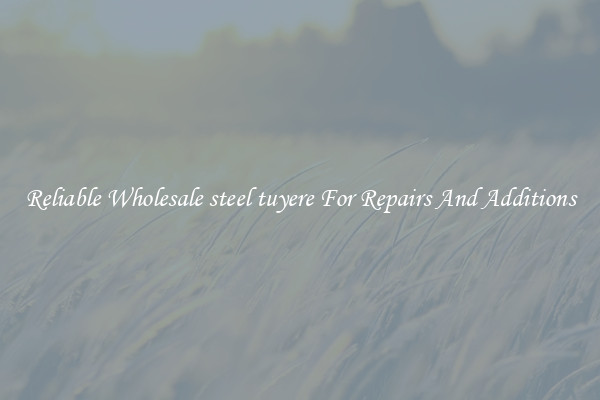 Reliable Wholesale steel tuyere For Repairs And Additions
