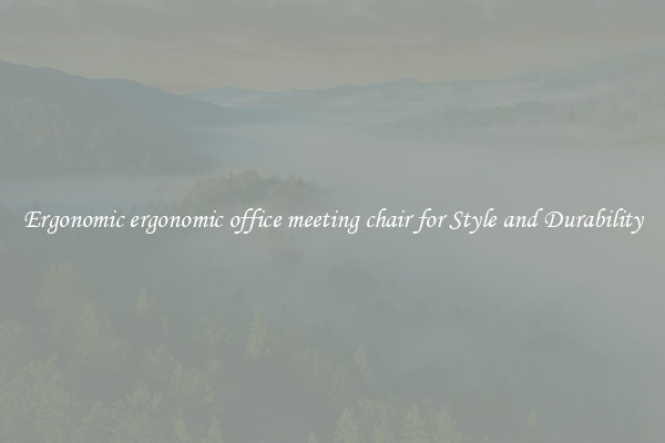 Ergonomic ergonomic office meeting chair for Style and Durability
