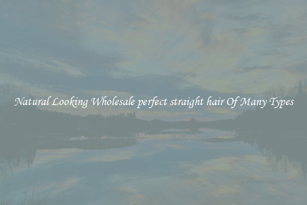 Natural Looking Wholesale perfect straight hair Of Many Types