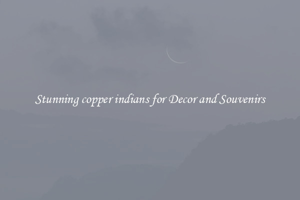 Stunning copper indians for Decor and Souvenirs