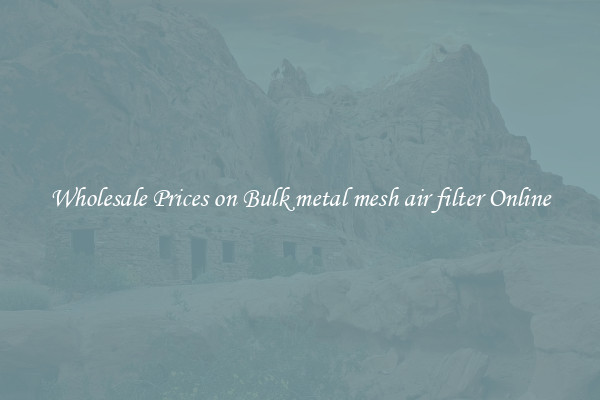 Wholesale Prices on Bulk metal mesh air filter Online