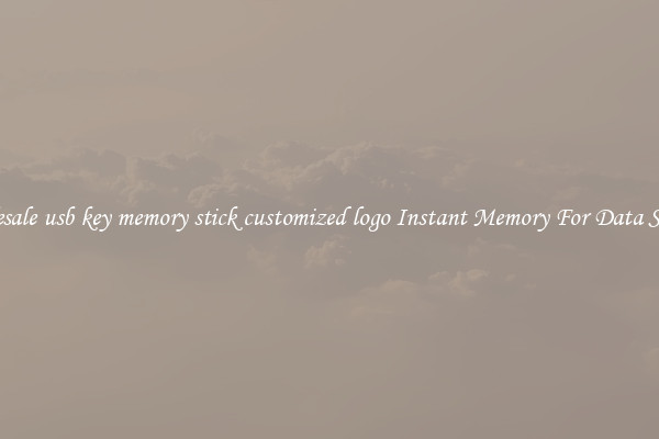 Wholesale usb key memory stick customized logo Instant Memory For Data Storage