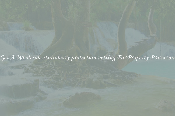 Get A Wholesale strawberry protection netting For Property Protection
