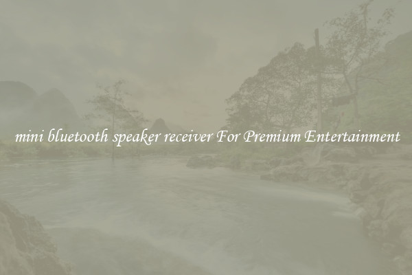 mini bluetooth speaker receiver For Premium Entertainment